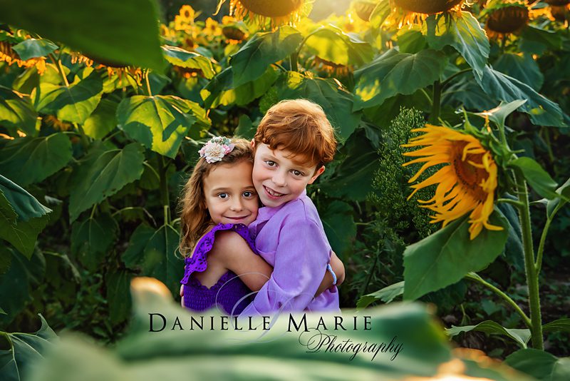 brother and sister dressed in purple in the middle of a sunflower field for a sunset session 